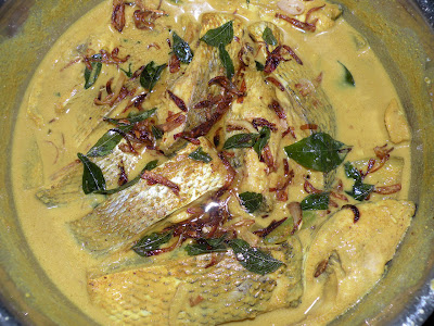 Meen Palu Curry
