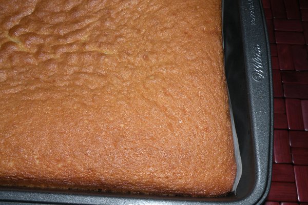 Sponge Cake
